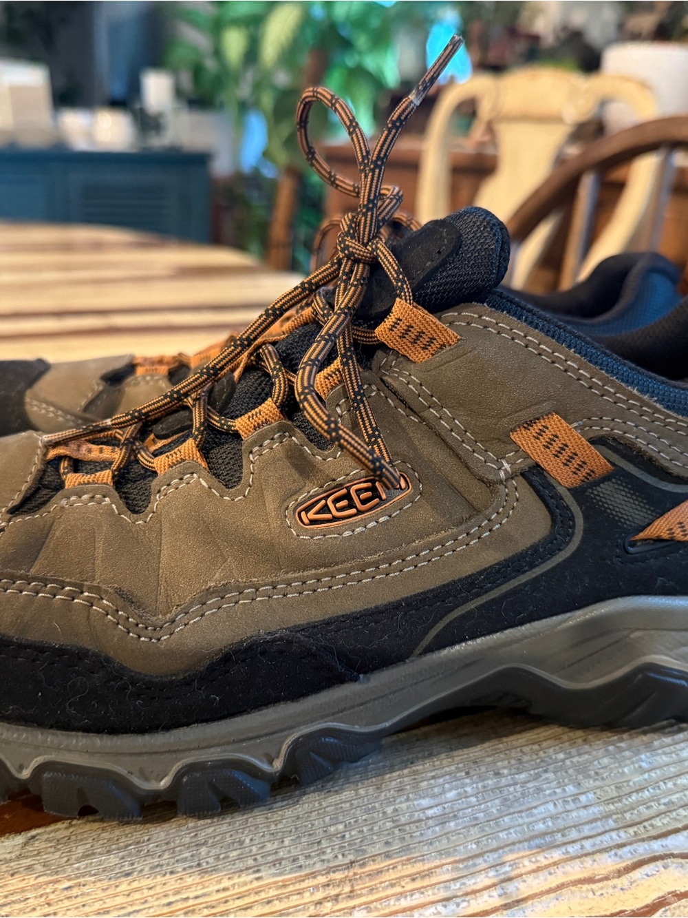 Men's Targhee IV Waterproof Hiking Shoe Size 10